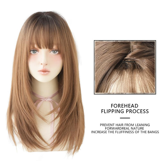 22 Inches Black To Honey Long Straight Hair Wigs